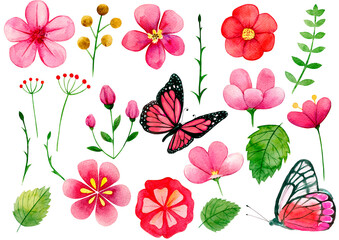 Obraz premium set of flowers, Pink watercolor flowers, pink butterflies, watercolor clipart on a white background,