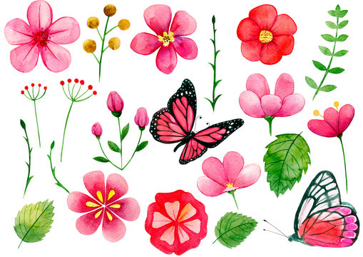 set of flowers, Pink watercolor flowers, pink butterflies, watercolor clipart on a white background,