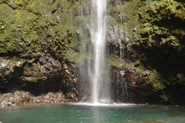 Fototapeta premium Hiking on the green paths of the levadas and waterfalls on Madeira Island in Portugal