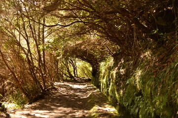Hiking along the coast, in the mountains and along the levadas of Madeira Island in Portugal