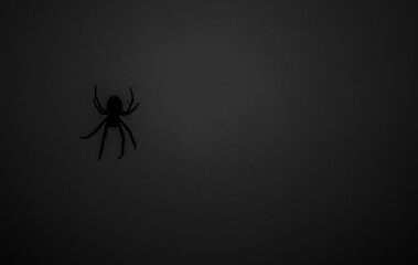 Close up silhouette of a spider sitting in its web in grey spooky lighting