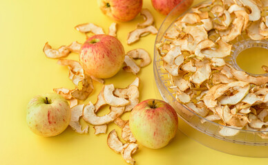Apples and electronic dehydrator dryer on a yellow background. Preserving fresh fruit by drying.