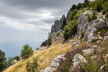 Fototapeta na wymiar Ai-Petri is one of the most highest mountains of the Crimea. It is located on the southern coast of Crimea near Yalta city. The photo also shows the variety of summer blooms and a dramatic gray skies.
