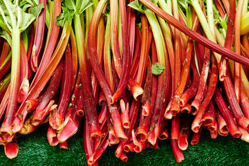 Garden or English Rhubarb is a delightful plant, common ingredient in pies, jellies, and chutneys