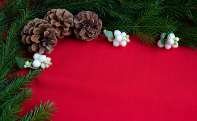 Fototapeta na wymiar Three pine cones and spruce branches with white dogwood berries lie on a red background. The concept of New year and Christmas. Space for your text