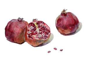 Red pomegranates watercolor on white background