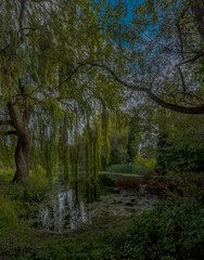 Fototapeta premium A view across the River Mimram beside the Digswell Viaduct near Welwyn Garden City, UK in the summertime