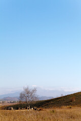 Plain of Jars, Phonsavan Laos mysterious location of stone jars 2000 years old