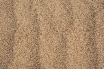 Fototapeta na wymiar Sandy background, sand surface texture after strong wind