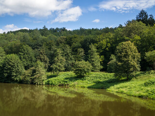 Nice lake with surrounding forest and plants