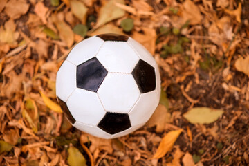 Black and white soccer ball laying on fallen brown leaves in autumn day. Minimalist flat lay, active leisure during fall season concept