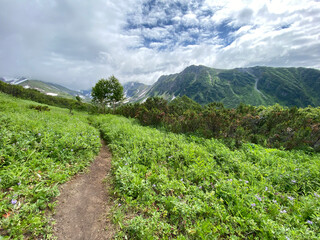 Fototapeta na wymiar Kamchatka mountain with narrow footpath among greenery and snow with cloudy sky