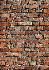 structure, texture and texture of a tree, wood, stone, brick and metal, Podlasie, Poland, September 2020