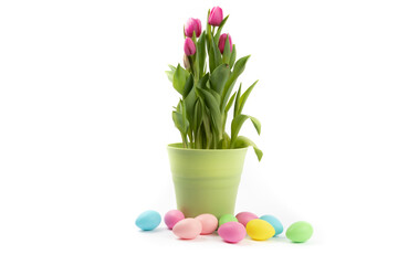 Pink tulips in a green pot surrounded by colorful Easter eggs isolated on white