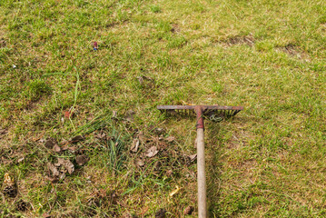 rake for cleaning foliage on green grass/leaf harvesting season with rakes against grass background