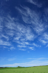 Obraz na płótnie Canvas 草原と雲