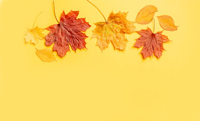 Colorful leaves frame on yellow background with copy space. Halloween or thanksgiving concept.