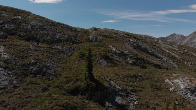 Hikers on the top of a mountain