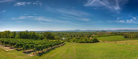 Panorama with vineyards at lake Balaton, Hungary
