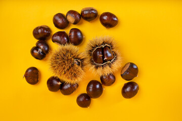 Stylish composition of chestnuts on yellow background.