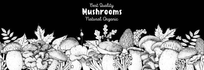 Edible mushrooms hand drawn. Autumn design. Vector illustrations collection. Hand drawn food. Sketch mushrooms. Organic food. Forest mushrooms. Engraved design.