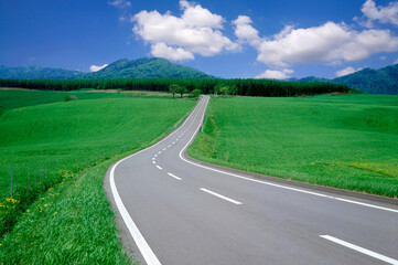草原の中の一本道