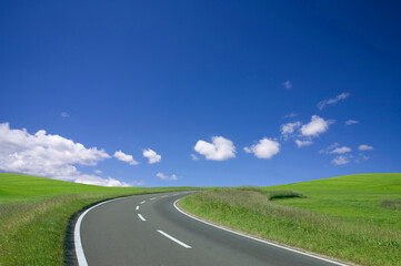 Fototapeta premium 草原の中の一本道