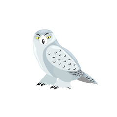 Arctic polar owl. Cartoon flat style illustration of polar and arctic bird. Vector illustration for kids, education. Isolated on white background.
