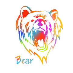 Multicolored bear symbol. Vector illustration