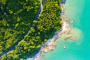High angle view of  road pass through coconut tree forest and beautiful coastline in Khanom, Nakhon si thammarat, Thailand.