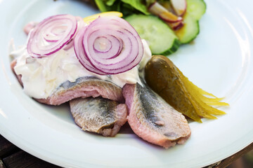 Young salted fish called soused or matjes herring with sour cream, gherkin and red onions, served with salad on a white plate, selected focus