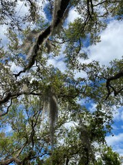 There's always a good reason to look up... 