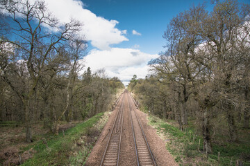 Fototapeta premium Railway in the afternoon in the countryside