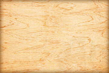 Fototapeta premium plywood texture with natural wood pattern; plywood texture for background