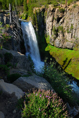 Obraz premium Evening light on Tumalo Falls Oregon