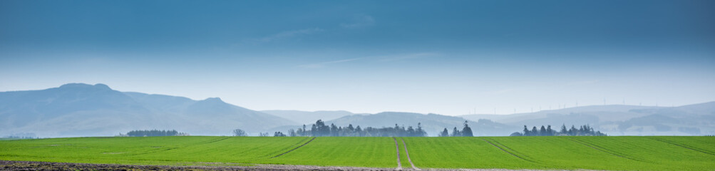 Gorgeous greens and blues in the landscape - panorama perspective with copy space.