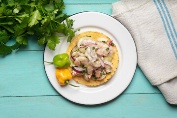 Mexican shrimp raw aguachile on turquoise background