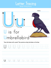 Letter tracing U for umbrellabird