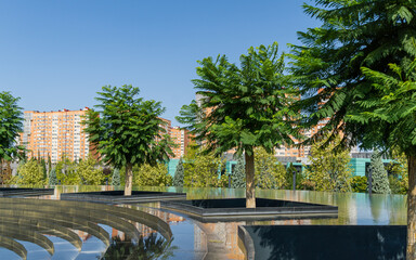 Jacaranda (Jacaranda mimosifolia) trees in fountain 'Infinity' in form of huge bowl with granite...