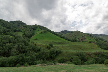 Obraz premium Mountain landscape with blue sky. Panoramic view of green hills. 