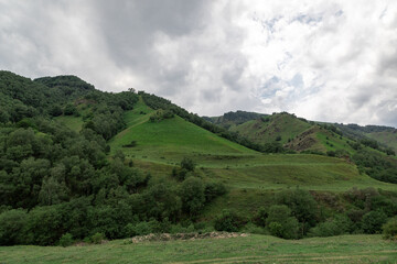 Mountain landscape with blue sky. Panoramic view of green hills.	