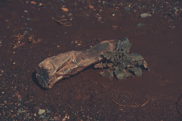 plastic bottle turned into trash in nature