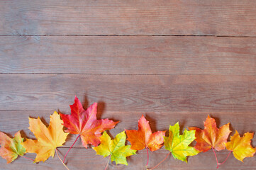 Naklejka na ściany i meble Autumn yellow and orange leaves on wooden background. fall wooden background with copy space