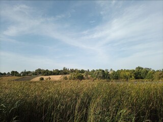 A beautiful autumn rural landscape. A sunny day. Landscape in the countryside