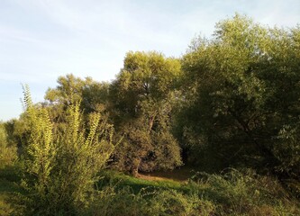 A beautiful autumn rural landscape. A sunny day. Landscape in the countryside