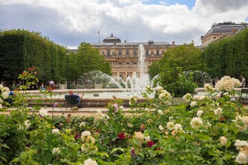 Fototapeta premium Parks and fountains in Paris. Sunny day.