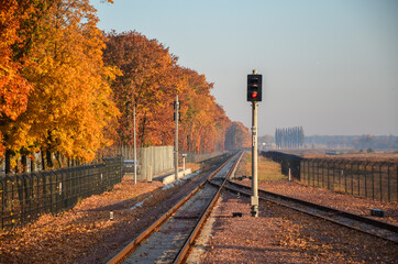 Railway traffic light with with red light. Railroad and semaphore in beautiful autumn day. Fall...