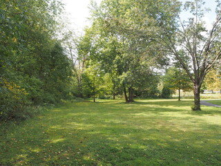 The clearing by the park.