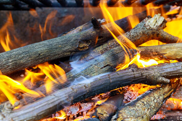 Burning log of wood, embers on grill.