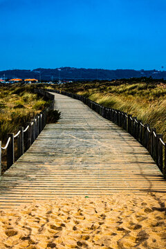 path to the sea